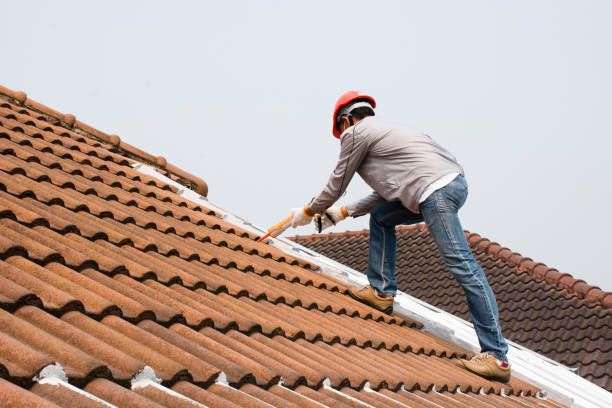 Best Roof Maintenance and Cleaning  in New Hyde Park, NY